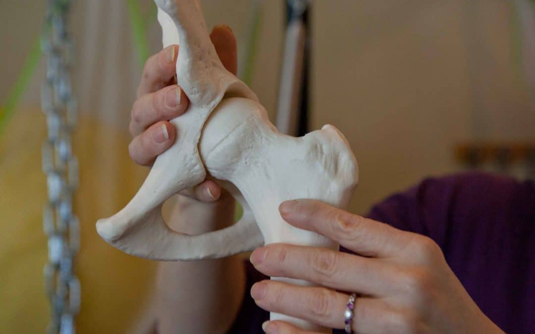 Pelvic Power & Happy Hips:Franklin Method® Virtual Workshop